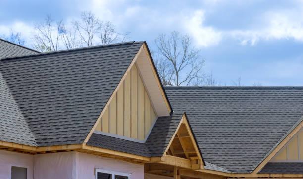 Best Roof Moss and Algae Removal  in Fort Shawnee, OH